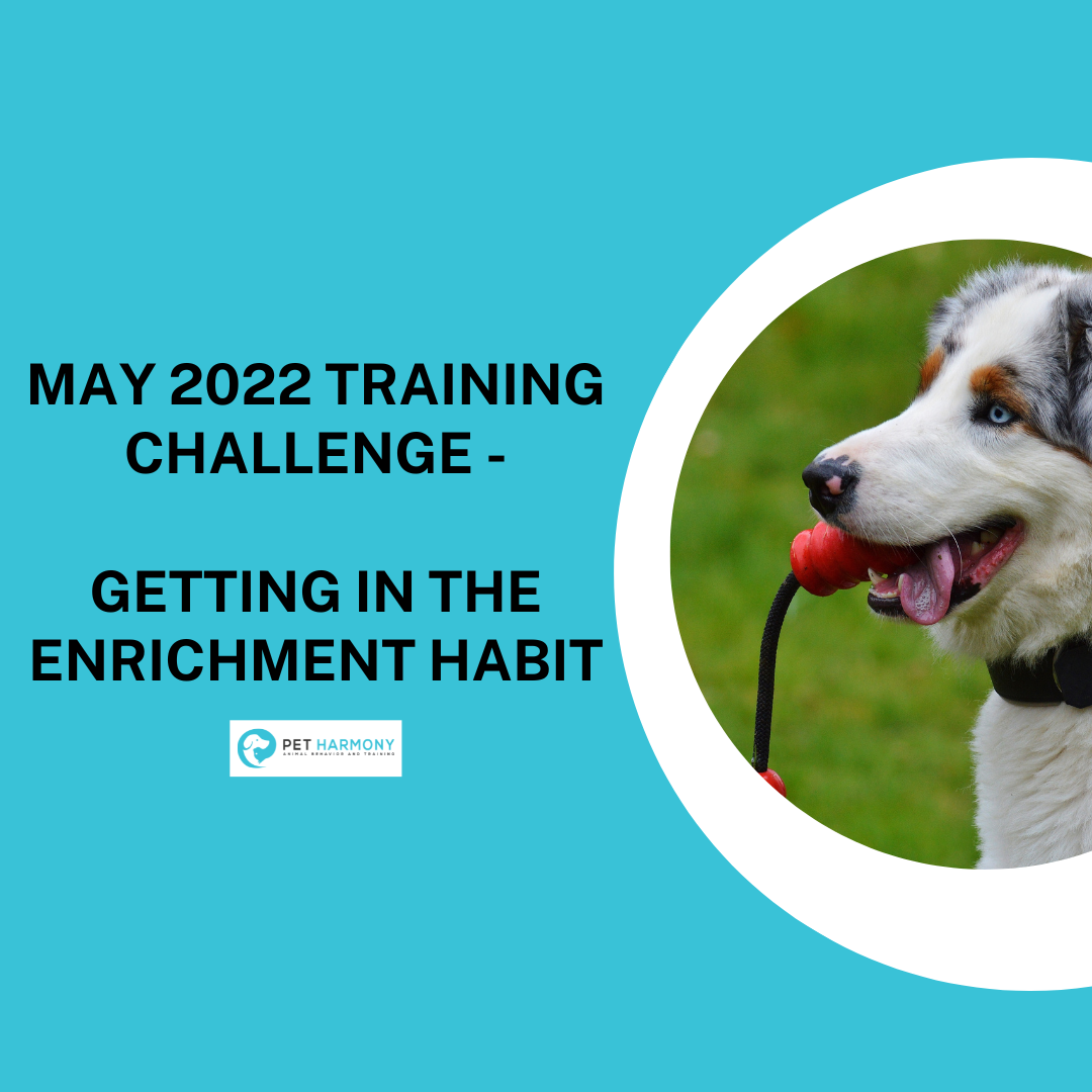 May 2022 Training Challenge Getting in the Enrichment Habit Pet Harmony