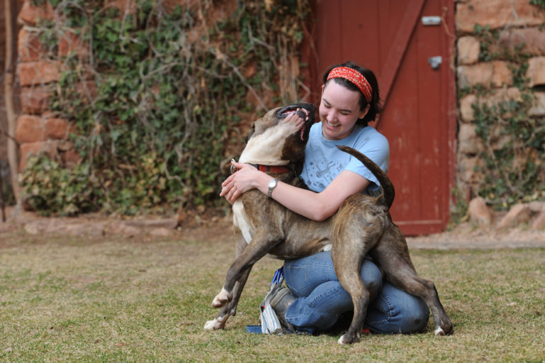 Online Dog Behavior Course for Owners Pet Harmony