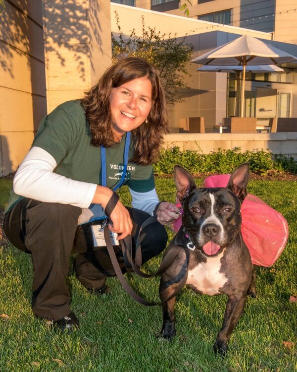 Online Dog Behavior Course for Owners Pet Harmony