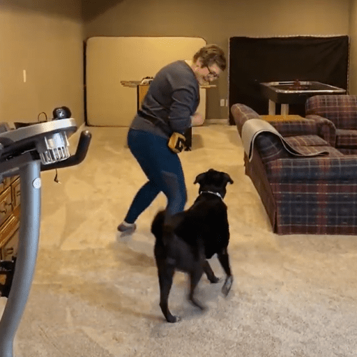 A black dog running with a woman in a basement. Practicing flight cue.