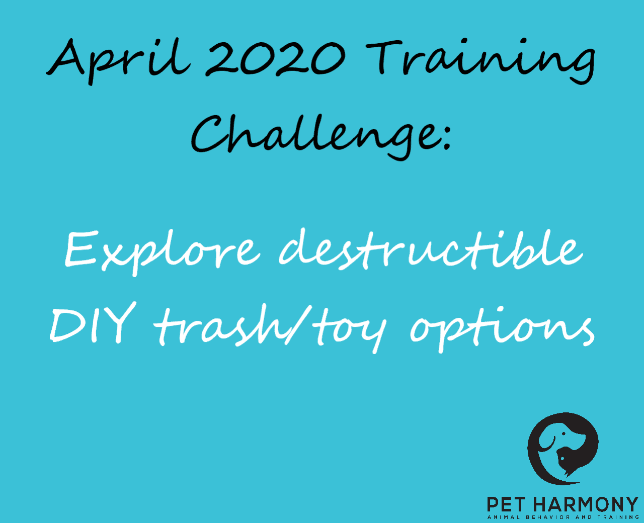 Dog enrichment ideas