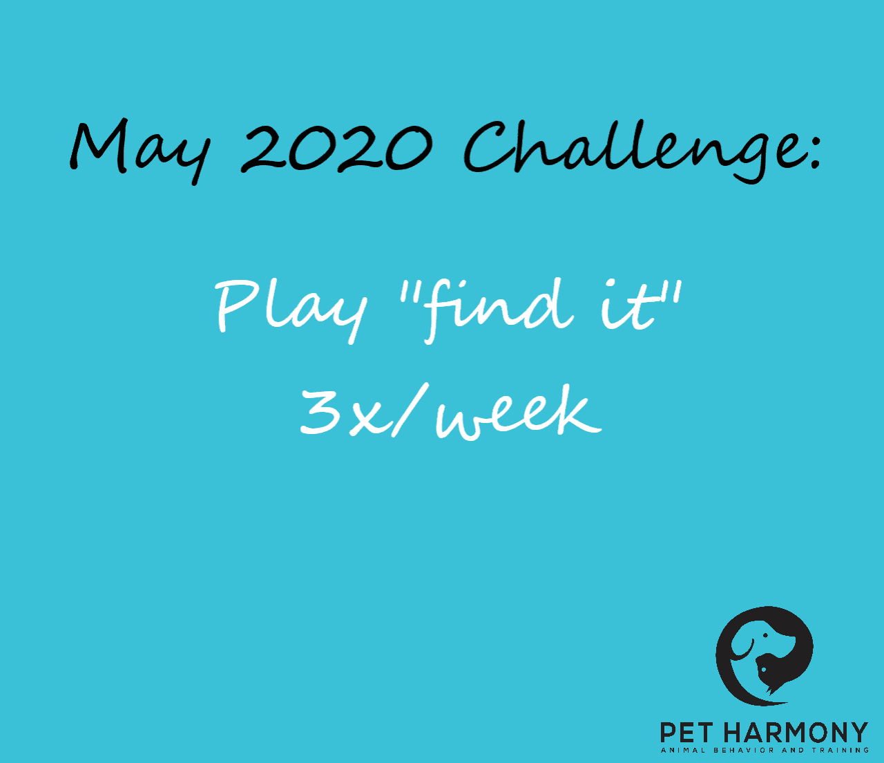 scent work challenge