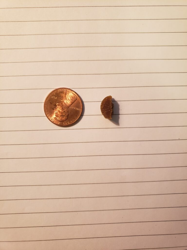 small treat next to a penny for comparison