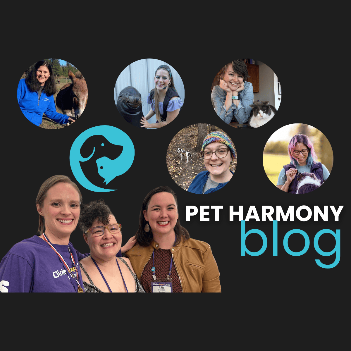 Pet Harmony Training Blog