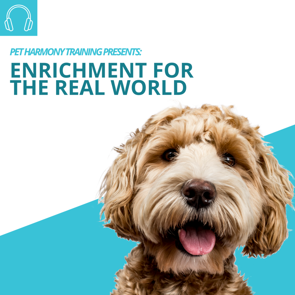 Enrichment for the Real World Podcast