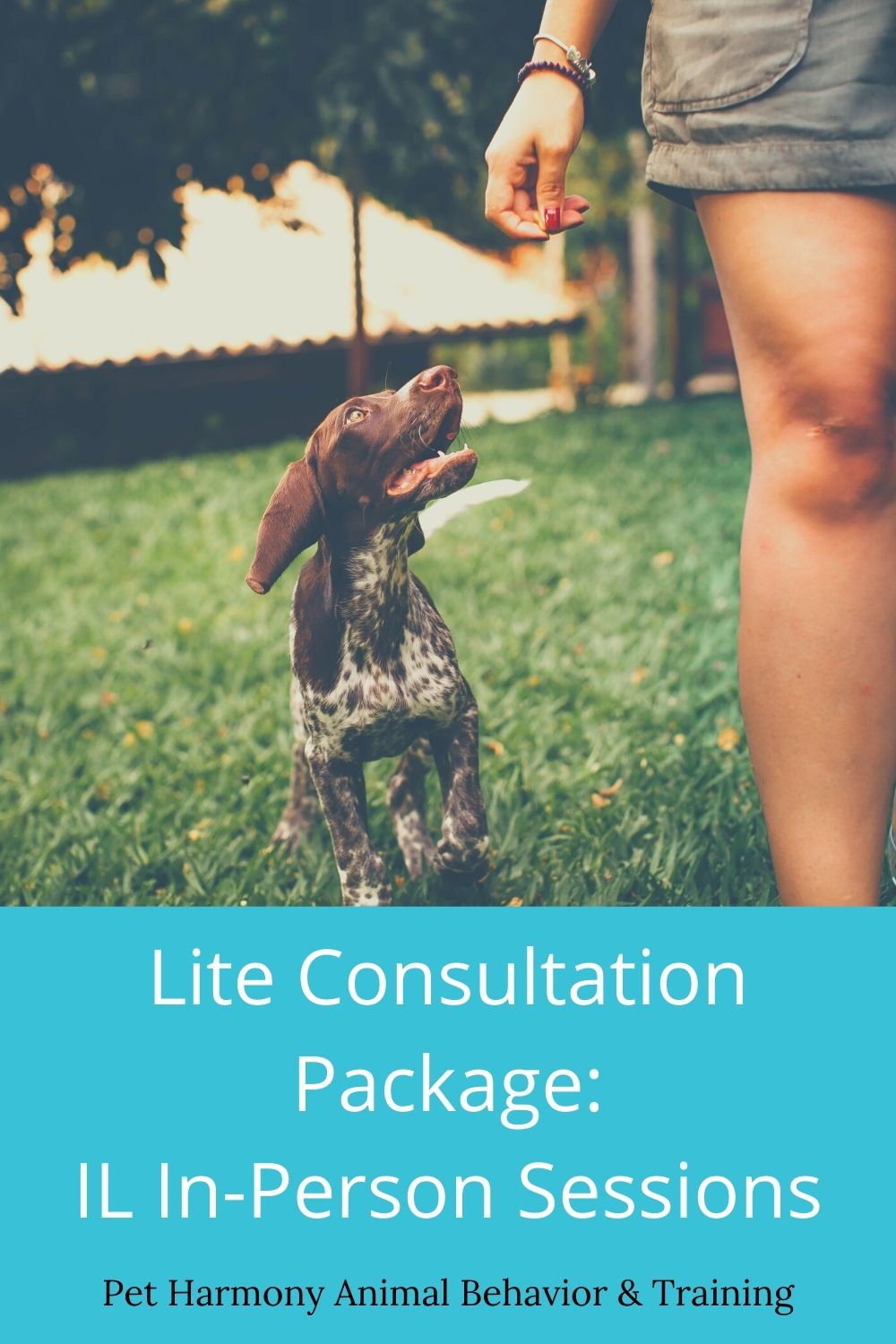 Lite consultation package IL in-person