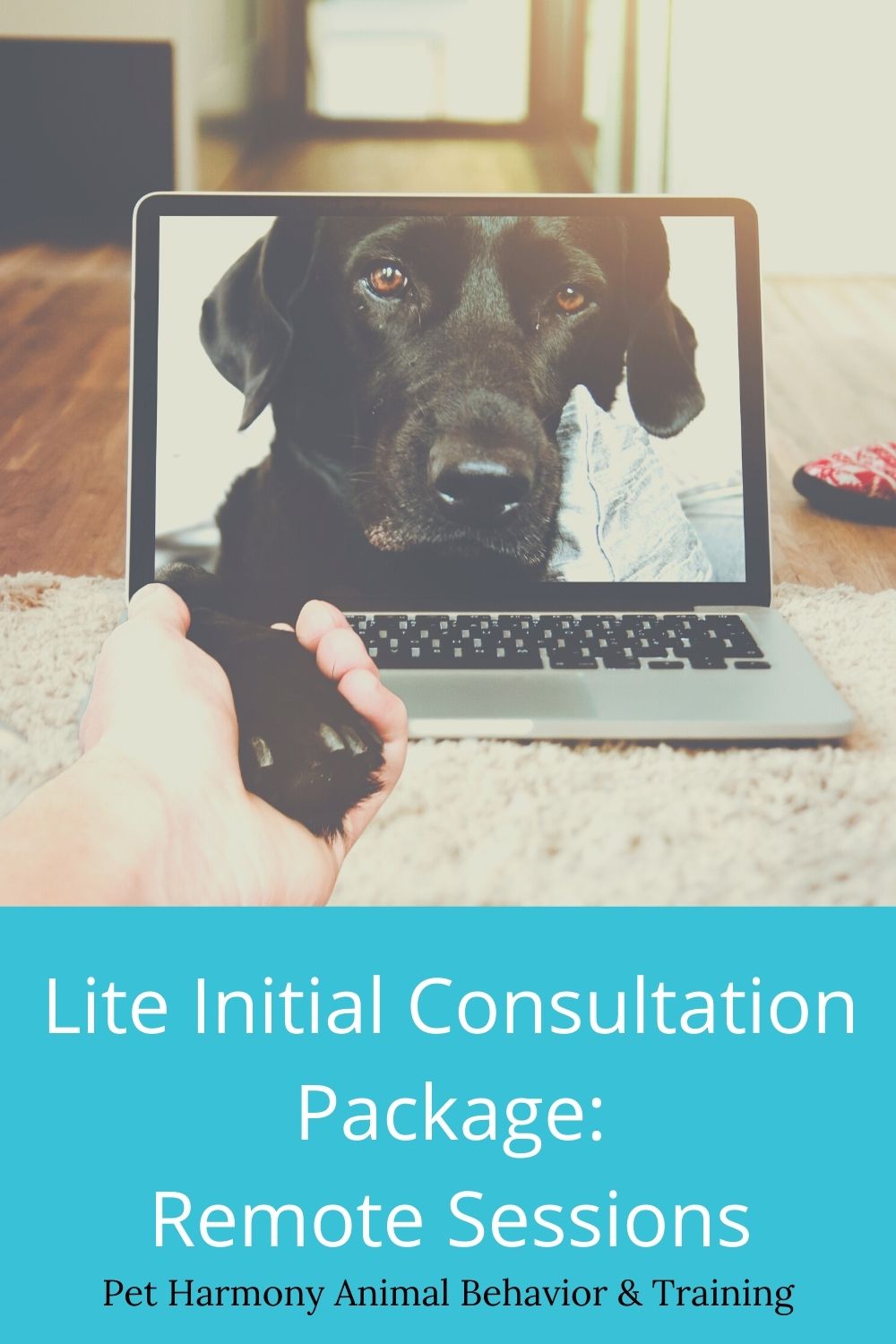 Lite initial consultation package remote