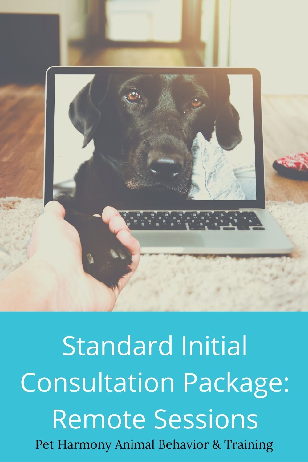 Standard initial consultation package remote