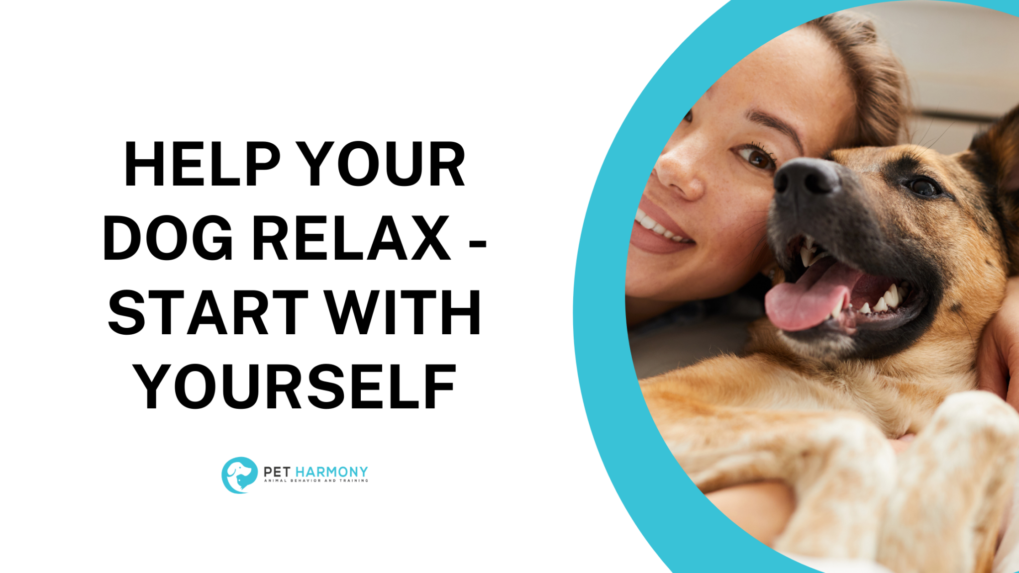 help-your-dog-relax-start-with-yourself-pet-harmony