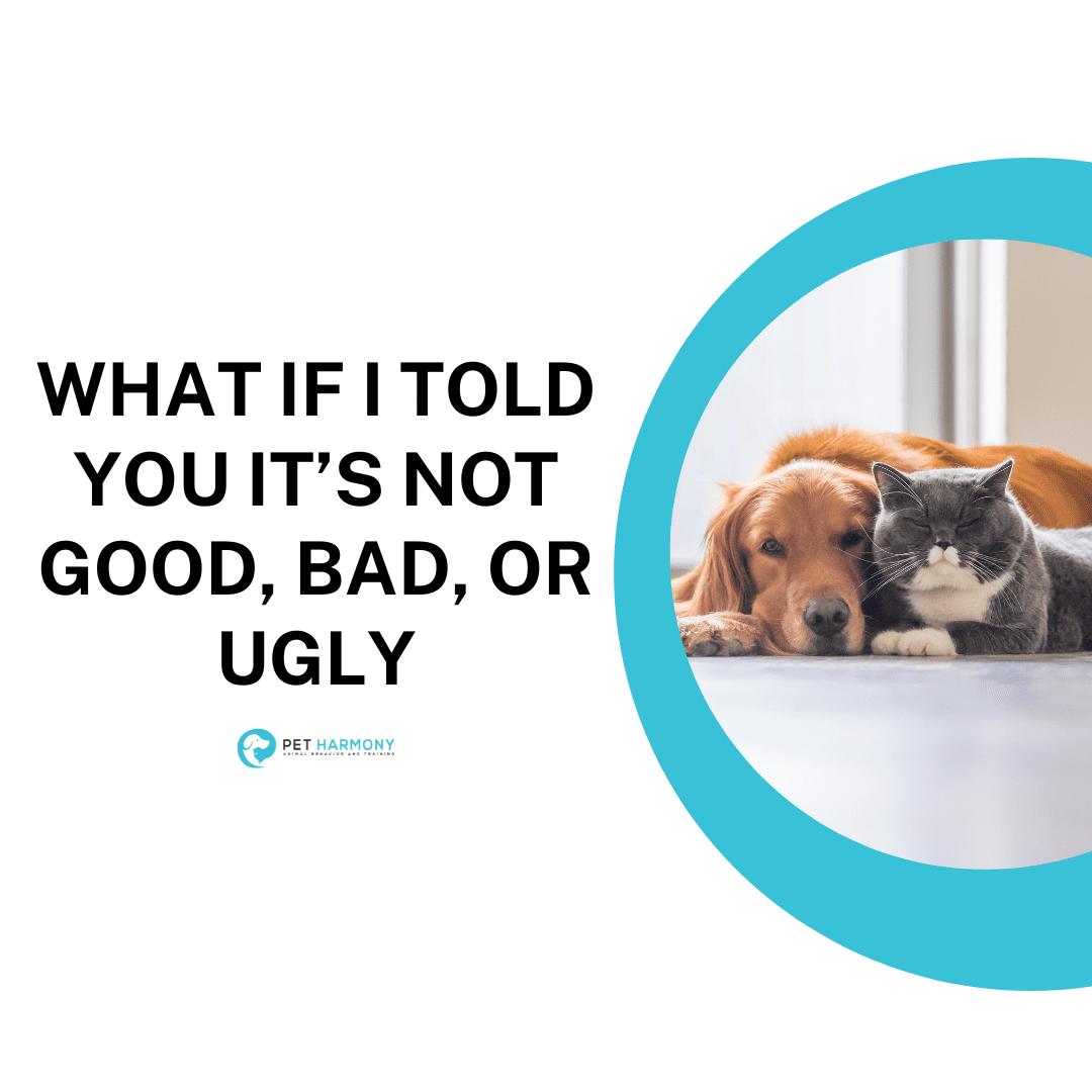 What If I Told You It’s Not Good, Bad, Or Ugly - Pet Harmony