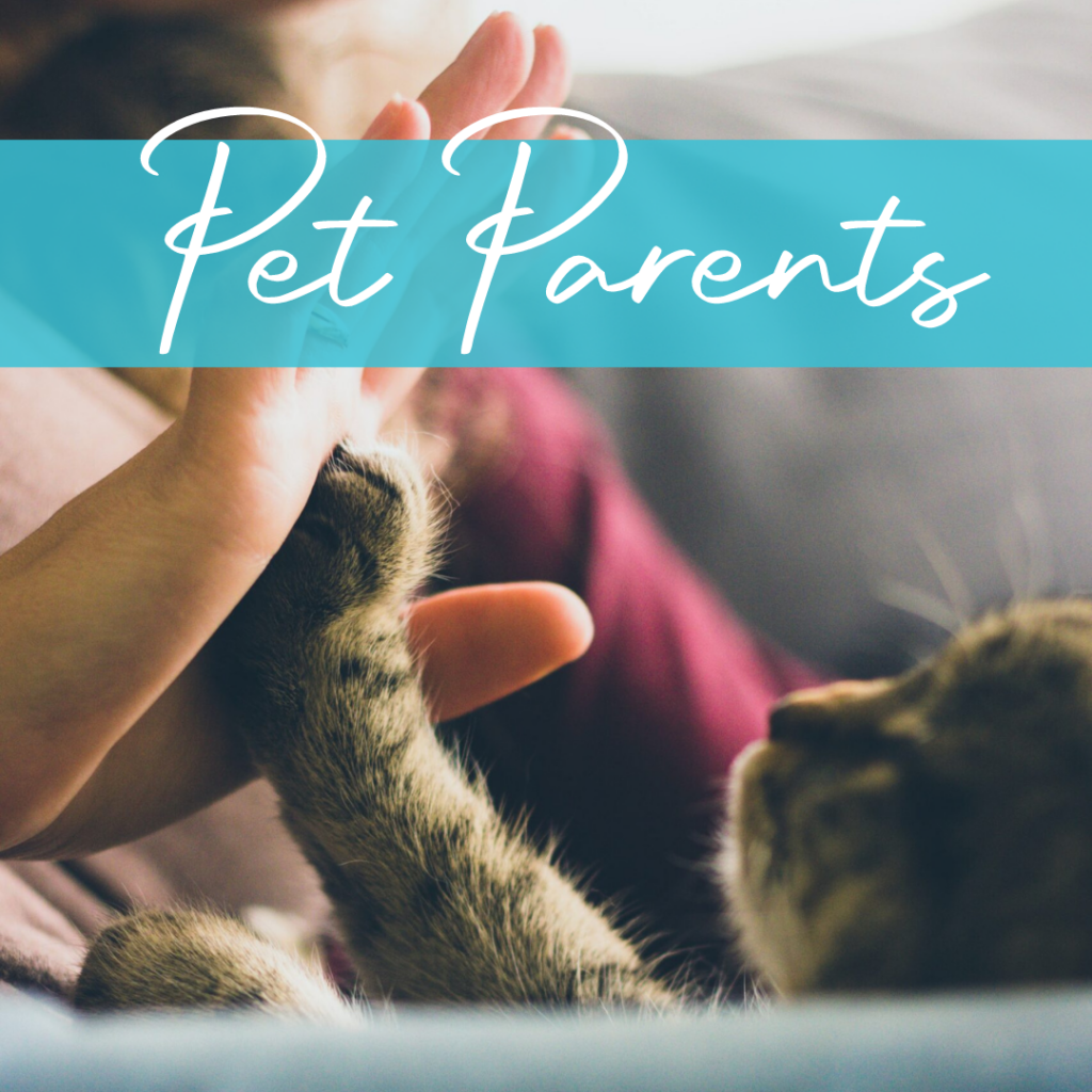 The 14 Categories of Pet Enrichment - Pet Harmony