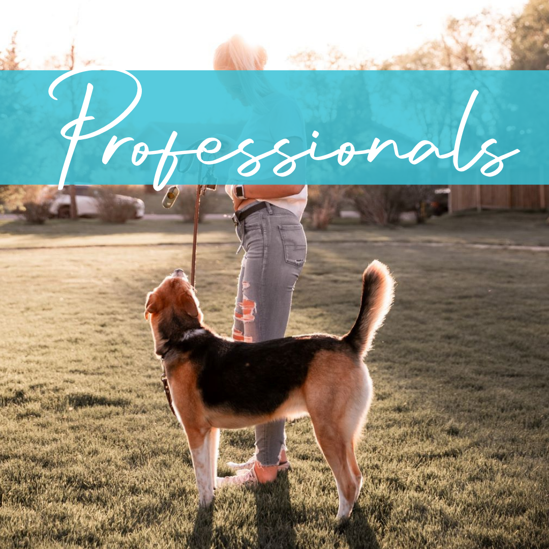 Positive Pet Training Online & At Home Pet Harmony