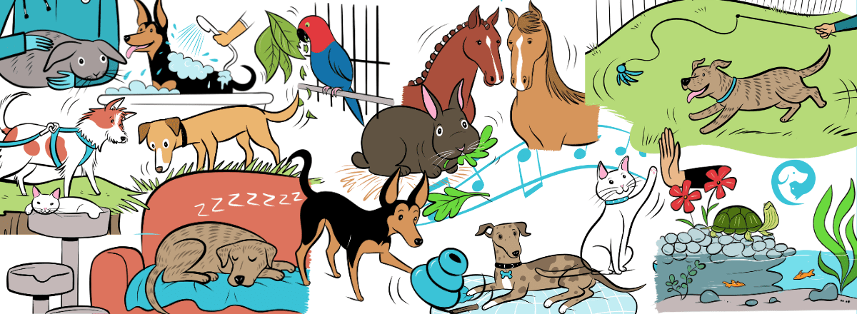 Illustrations of pets representing the 14 categories of pet enrichment