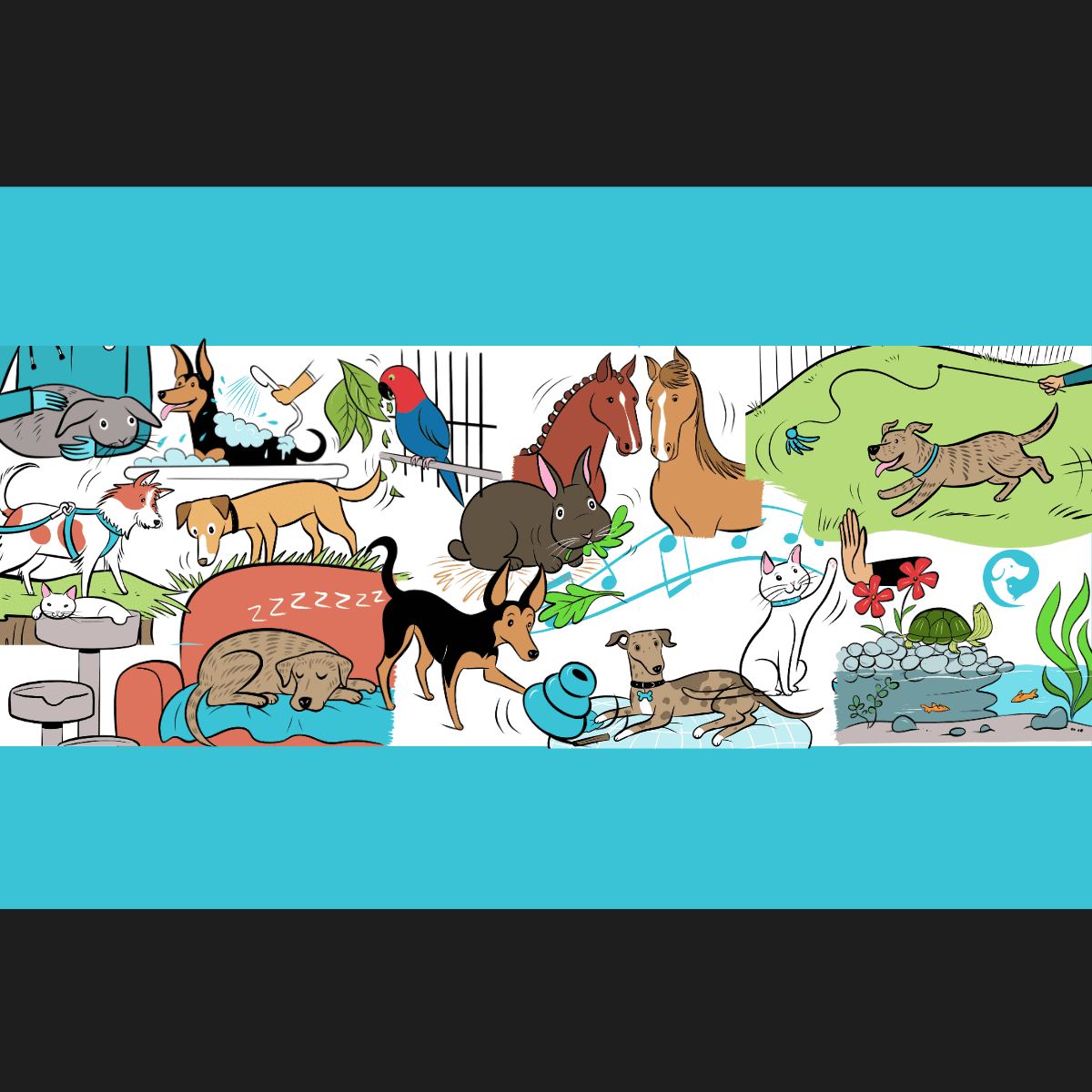 Illustrations of pets representing the 14 categories of pet enrichment