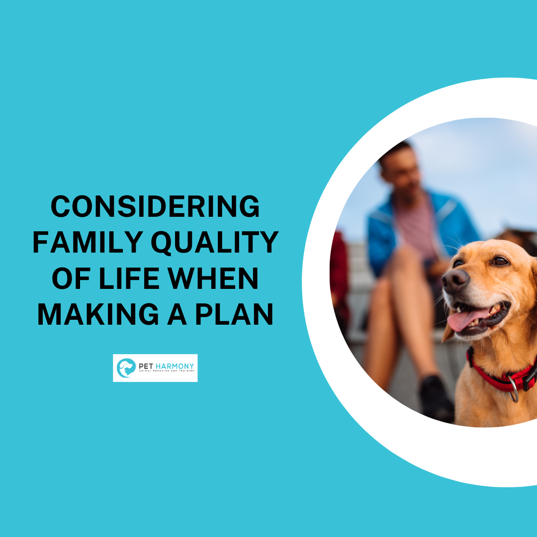 considering-family-quality-of-life-when-making-a-plan-pet-harmony