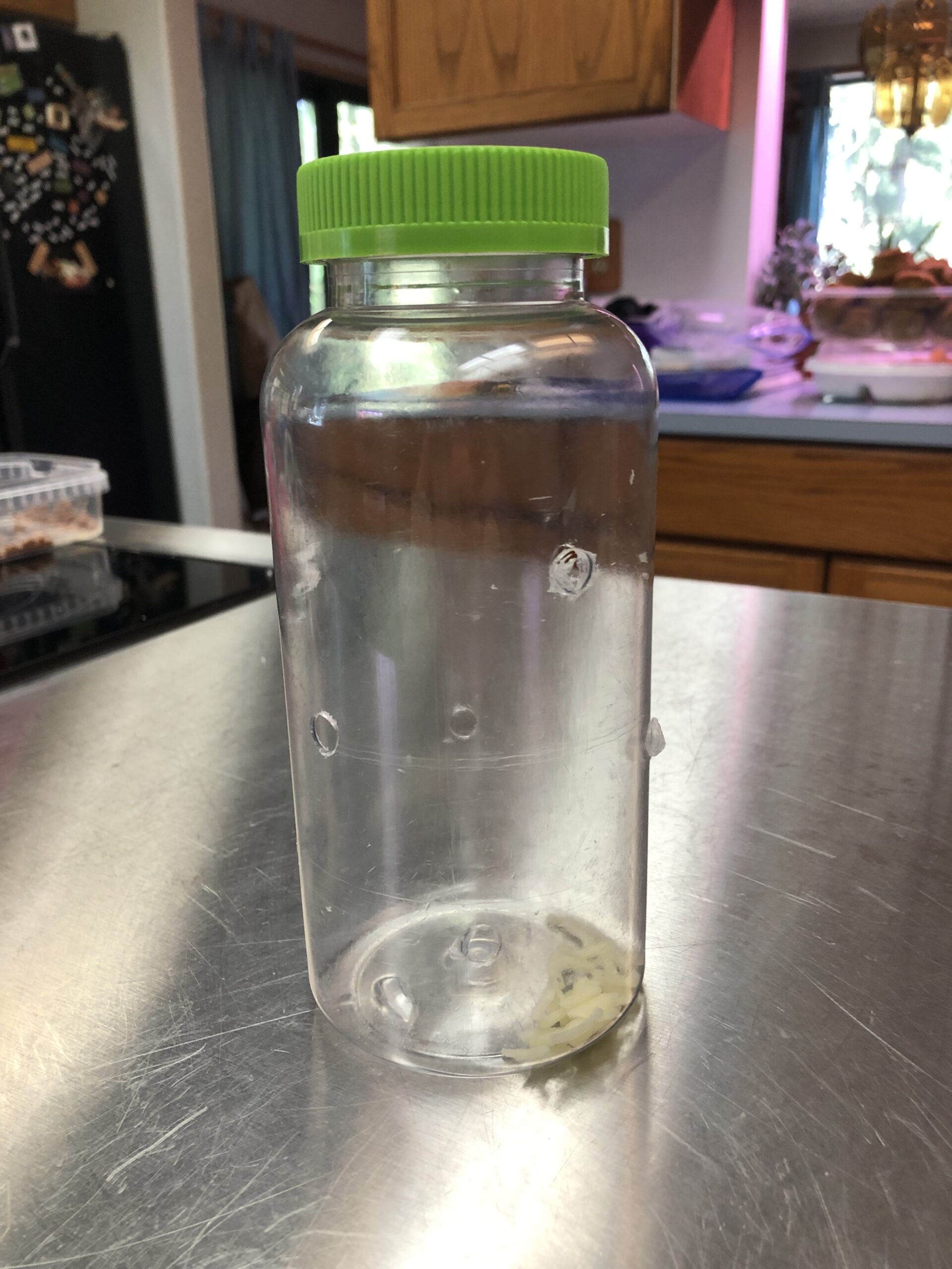 July 2023 Enrichment Challenge Try a New Active Foraging Option Pet