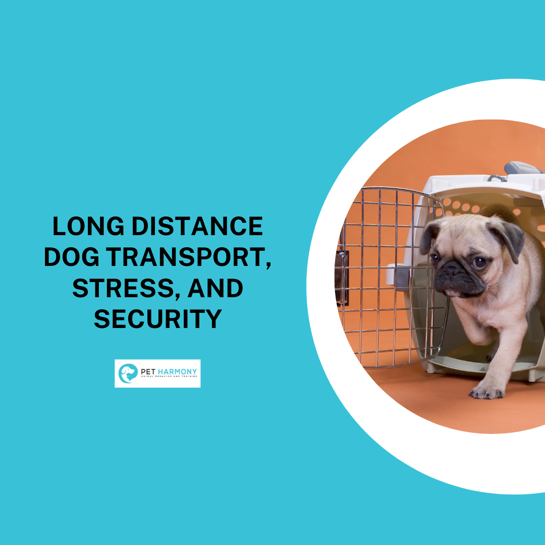 Long Distance Dog Transport, Stress, and Security - Pet Harmony