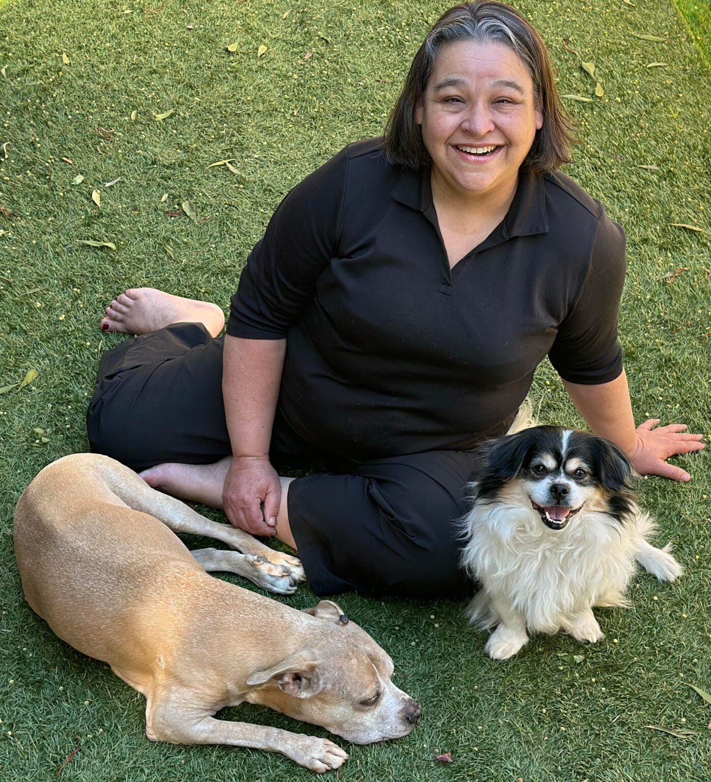 Podcast Episode 82: Mara Velez: How BEAR Can Help Shelters - Pet Harmony
