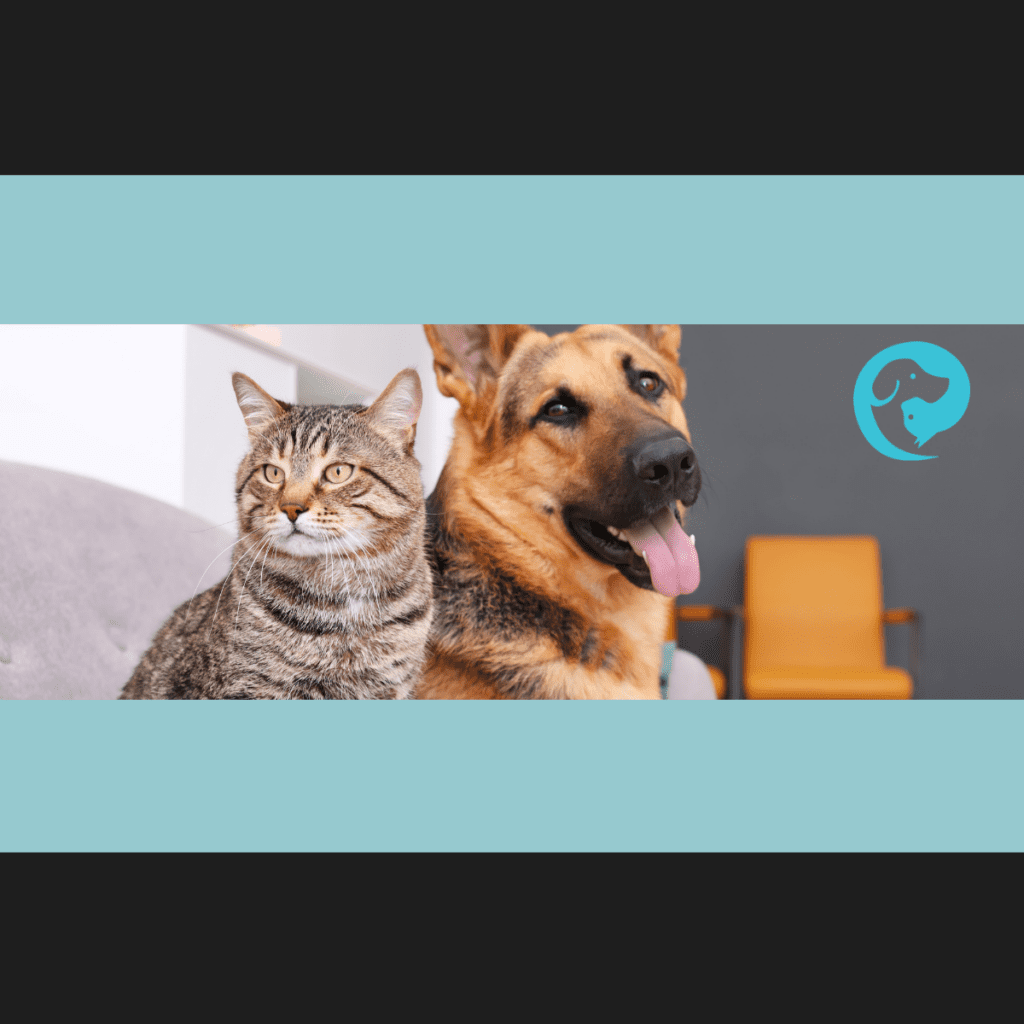 A tabby cat and German shepherd dog resting together.