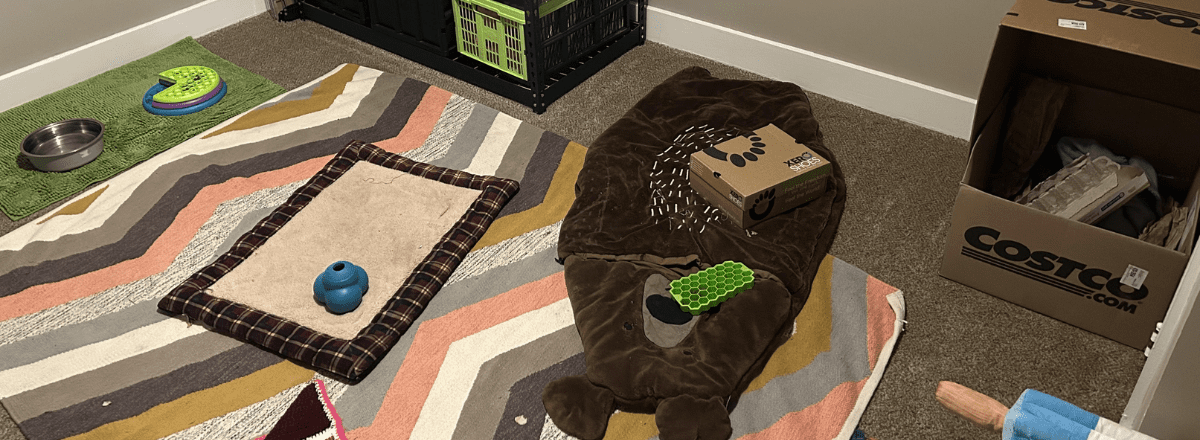 A carpeted small bedroom with a colorful rug and some soft mats for resting on. The enrichment items provided are listed in the text above.