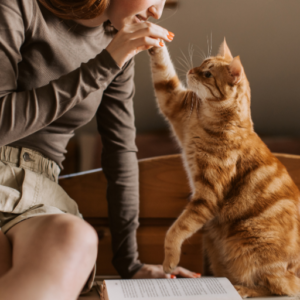 woman with a yellow cat