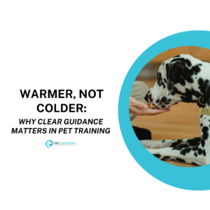 Warmer, Not Colder: Why Clear Guidance Matters in Pet Training