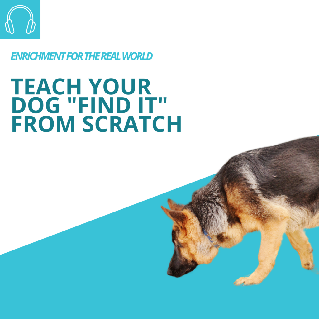 Enrichment for the Real World Episode #112: Try it - Teach Your Dog "Find It" from Scratch