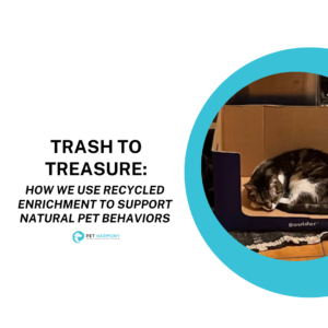 Image with a cat sleeping in a cardboard box. Text reads: Trash to Treasure: How We Use Recycled Enrichment to Support Natural Pet Behaviors
