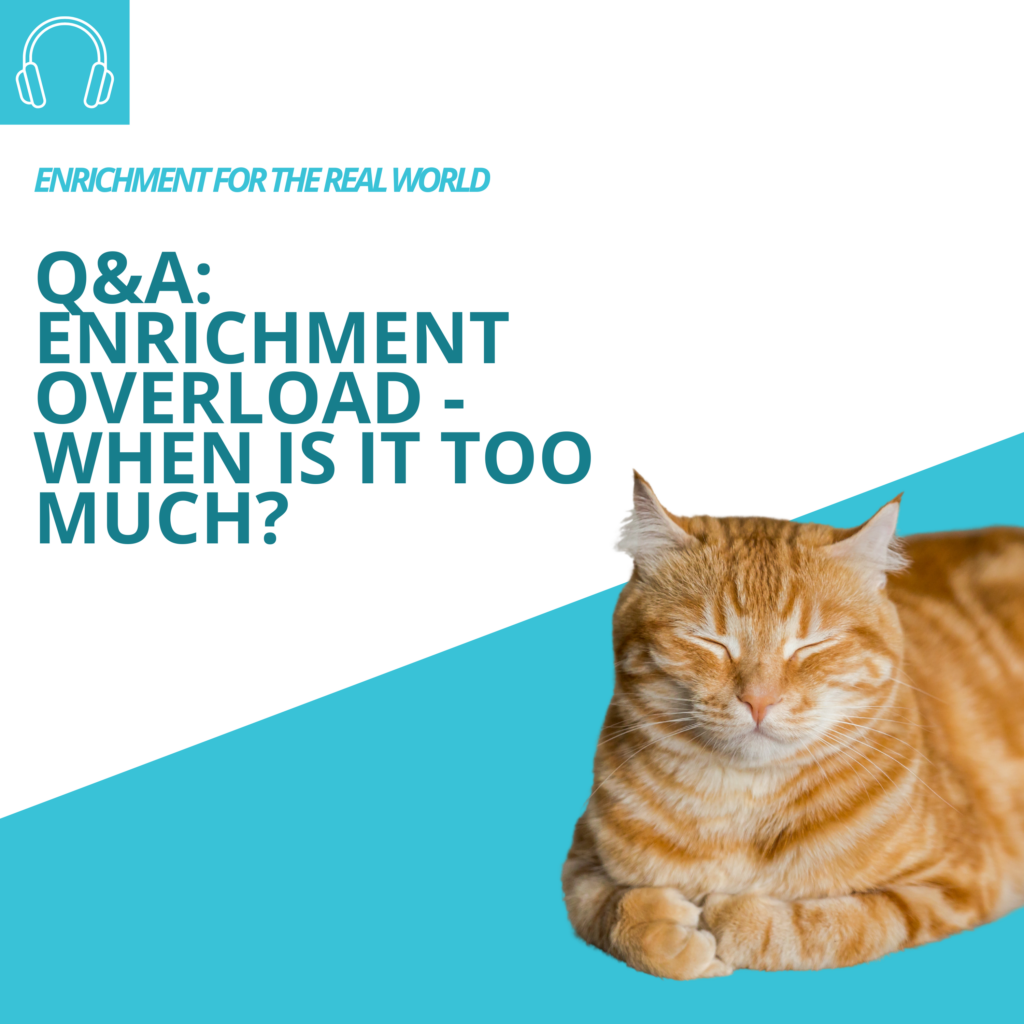Q & A: Enrichment Overload - When is it Too Much?