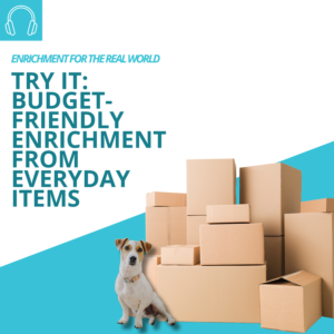 A small white terrier-type dog sitting next to a large stack of cardboard boxes. Title text reads: Try it: budget friendly enrichment from everyday items