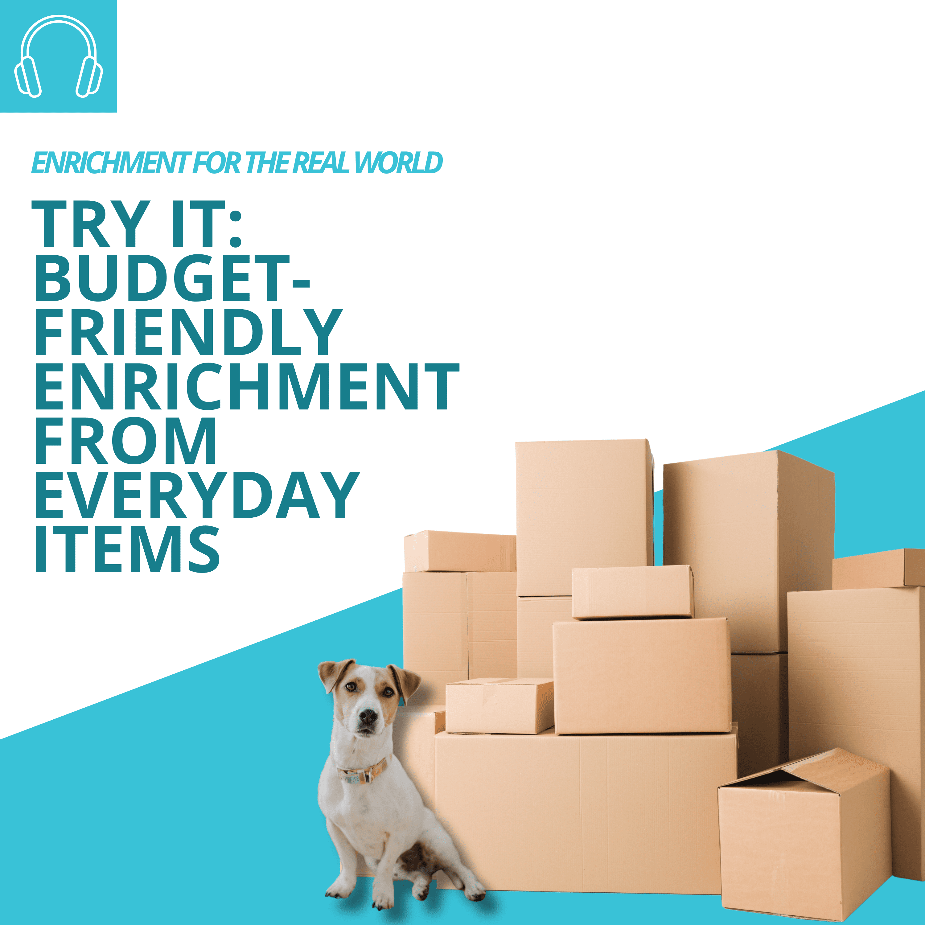 A small white terrier-type dog sitting next to a large stack of cardboard boxes. Title text reads: Try it: budget friendly enrichment from everyday items