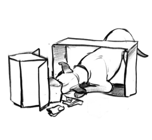 Sketch of a dog climbing through an open box and putting their head into another