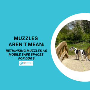 Photo of a dog in a muzzle standing on a bridge with greenery in the background. Image text reads: Muzzles Aren't Mean: Rethinking Muzzles as Mobile Safe Spaces for Dogs