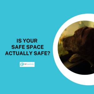 A brindle dog looking at a fish tank. Text reads: Is Your Safe Space Actually Safe?