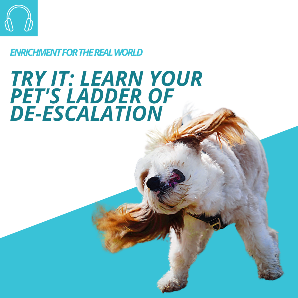 A fluffy white and ginger dog shaking off (as if wet). Text reads: Try it: Learn Your Pet's Ladder of De-Escalation