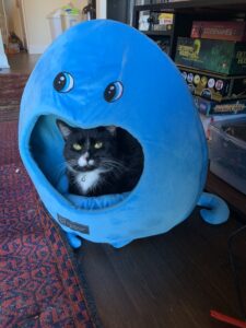 A black and white cat peers out from inside a plush blue fabric hut that is shaped like a creature. It has eyes and the cat enters through the open mouth.