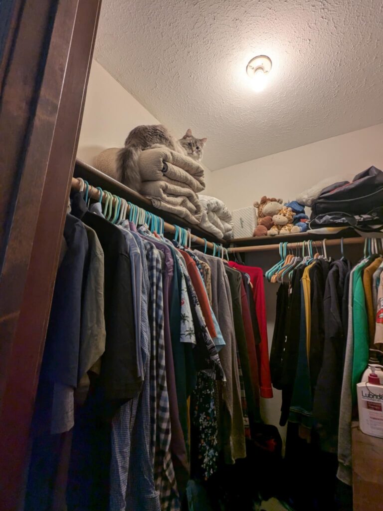 A handsome fluffy cat resting on top of a folded comforter on a high shelf inside a closet.