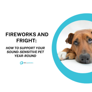 Brown dog laying down with face on paws, looking up. Text reads: Fireworks and Fright: How to Support Your Sound-Sensitive Pet Year-Round