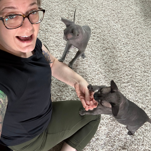 A person sitting on the floor with two sphynx cats. One of them is taking a treat from their hand.