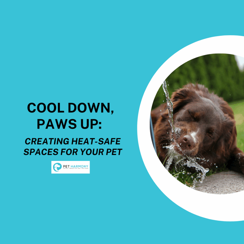 A brown dog drinking water that is falling from a spout. Text reads: Cool down, paws up: creating heat-safe spaces for your pet