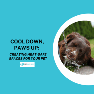 A brown dog drinking water that is falling from a spout. Text reads: Cool down, paws up: creating heat-safe spaces for your pet