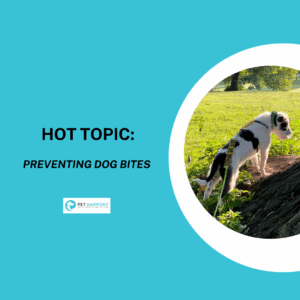 A scruffy white and dark grey dog wearing a muzzle looking at the base of a tree. Text reads: Hot Topic: Preventing Dog Bites