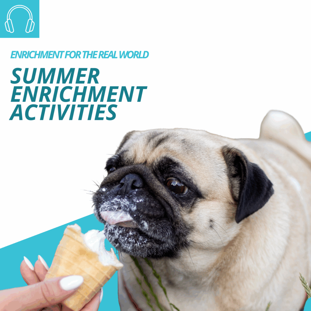 A pug licks ice cream out of a cone. Text reads: Summer Enrichment Activities.