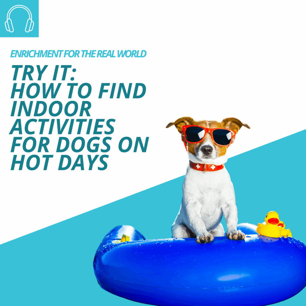 A terrier-type dog standing in a pool floaty wearing sunglasses. Text reads: Try It: How to Find Indoor Activities for Dogs on Hot Days