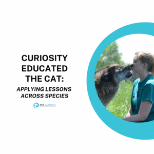 A woman kneeling in a green field. A wolf is licking her face. Text reads: Curiosity Educated the Cat: Applying Lessons Across Species