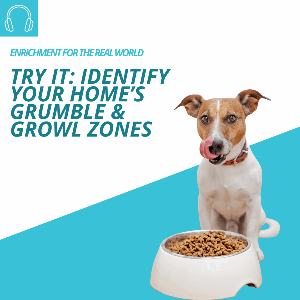 A white and brown terrier type dog sitting next to a bowl of food and licking their lips. Text reads: Try It: Identify Your Home's Grumble & Growl Zones