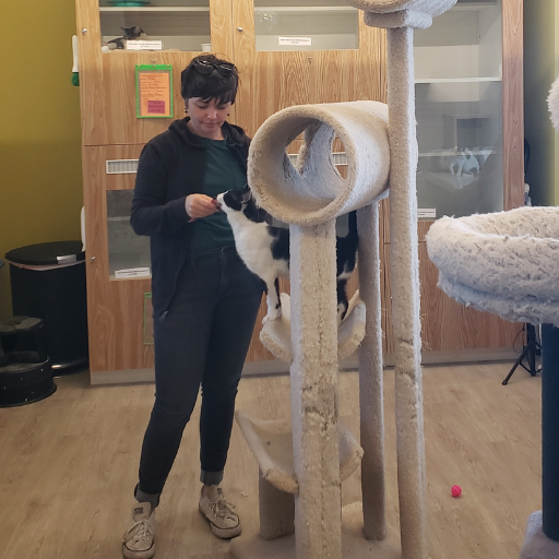 A woman standing next to a black and white cat on a carpeted cat tree. She is feeding the cat a treat from a tube