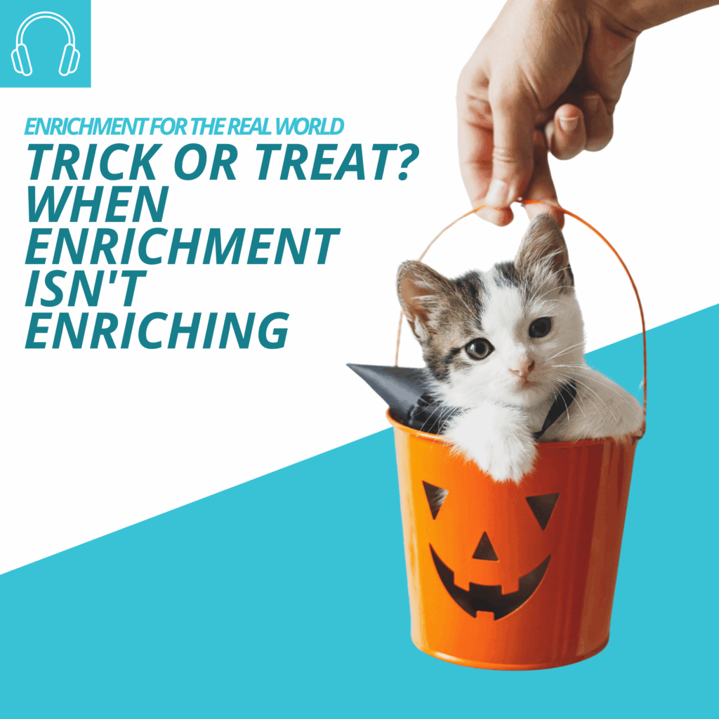 A kitten in a bucket painted like an orange jack-o-lantern. Text reads: Trick or Treat? When Enrichment isn't Enriching