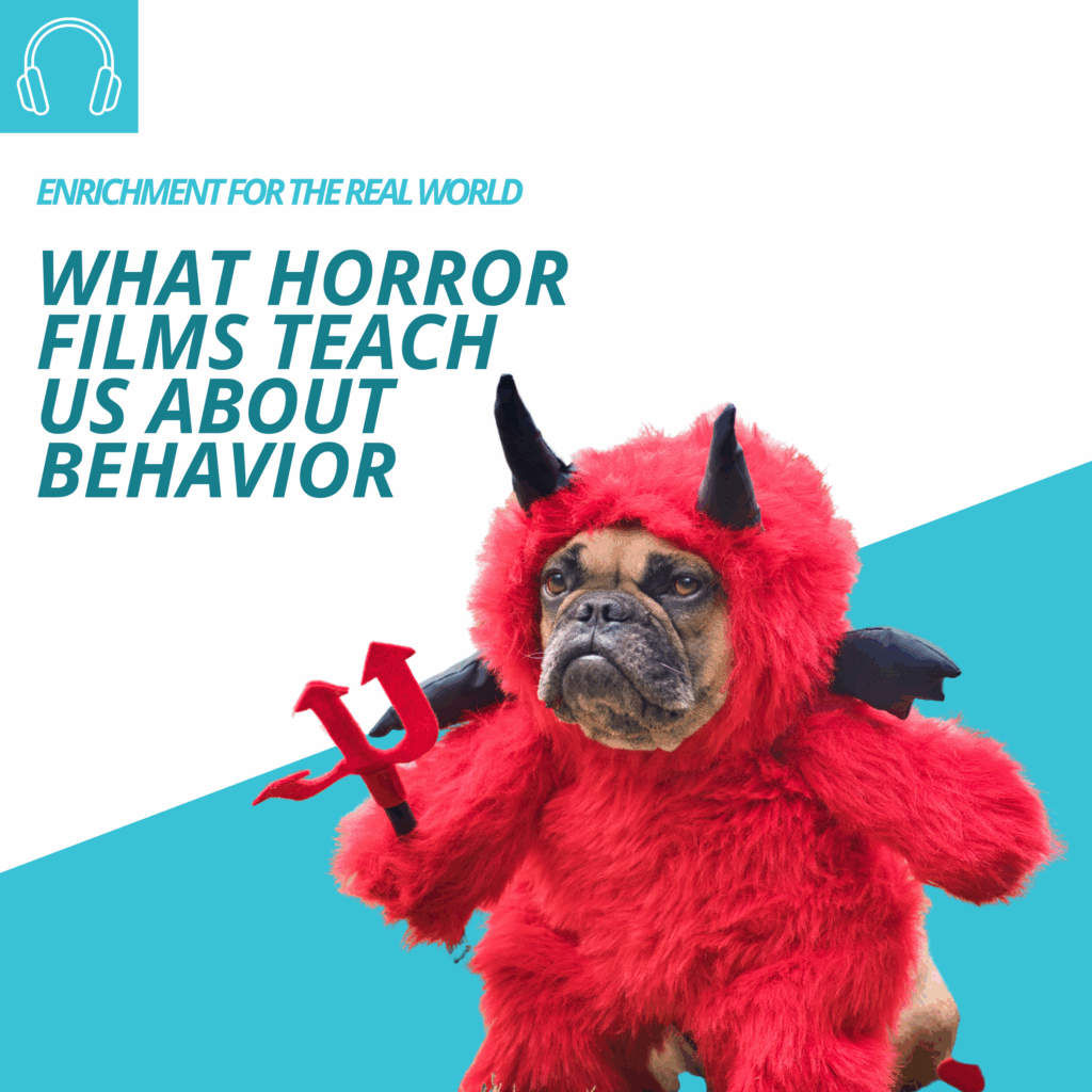 A short-faced bully type dog wearing a fuzzy devil Halloween costume. Text reads: What Horror Films Teach Us About Behaior