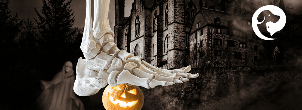 A haunted house with a skeleton foot stepping on a pumpkin in front.